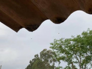 Dia de muitas nuvens e chuvas isoladas em Dourados; máxima de 30ºC
