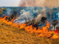 Pantanal em Alerta amplia ações diante do avanço das queimadas no bioma