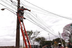 Projeto "Poste Limpo" em parceria entre prefeitura e empresas inicia hoje