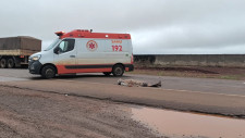 Perícia identifica idoso atropelado no anel viário de Dourados; causas do acidente são investigadas