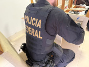 Operação da Força de Combate ao Crime Organizado cumpre mandados em MS