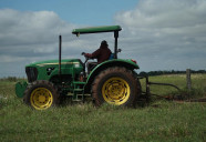Produção de soja e milho muda perfil da mão de obra no campo em Mato Grosso do Sul