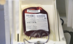 Fundação Pró-Sangue alerta para baixo estoque e faz apelo a doadores