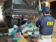 Motorista gaúcho é preso com 5,2 toneladas de maconha escondidas em carga de milho a granel