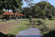 Arborização do Parque Antenor Martins será ampliada neste sábado