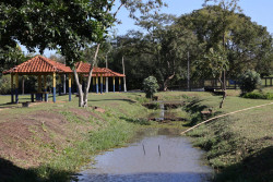 Arborização do Parque Antenor Martins será ampliada neste sábado