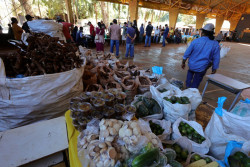 Chuvas adiam recebimento de alimentos do 1º PAA Indígena Municipal do Brasil