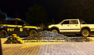 PRF apreende 115 quilos de cocaína pura, 59 quilos de skunk e 7 quilos de pasta-base em MS