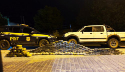 PRF apreende 115 quilos de cocaína pura, 59 quilos de skunk e 7 quilos de pasta-base em MS