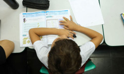 Censo Escolar: Resultado preliminar está disponível no site do Inep