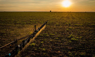 Novas regras do Seguro Rural ampliam cobertura e proteção ao produtor