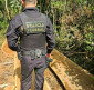Ação conjunta da PF, Ibama e Funai combate desmatamento ilegal em área indígena