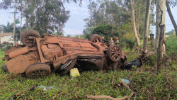 Homem morre após carro capotar e bater contra eucalipto entre Fátima do Sul e Vicentina