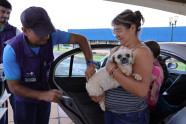 Três pontos de Dourados recebem vacinação antirrábica hoje