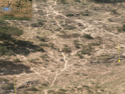 Ministério Público investiga desmatamento de 750 hectares no Pantanal