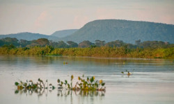 Cerrado brasileiro perdeu 13,9 milhões de hectares de margens de rios