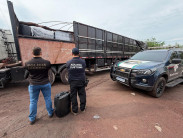 Receita e Polícia Federal apreendem 17 toneladas de insumo químico utilizado na produção de cocaína