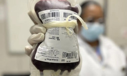 Saúde aprova protocolo para tratar crianças com hemofilia A
