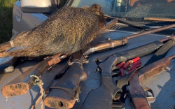 Ambiental prende 6 homens por caça e porte ilegal de arma em Sete Quedas