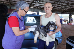 Vacinação antirrábica acontece em 2 pontos nesta semana; veja quais