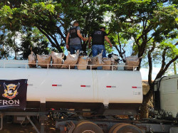 Defron apreende 213 quilos de pasta-base de cocaína em caminhão-tanque