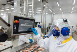 Frigorífico de Dourados faz seleção para contratar 300 trabalhadores