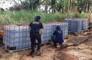 MS cria grupo de trabalho para avaliar destinação de agrotóxicos irregulares