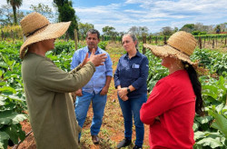 Agraer orienta agricultoresri a produzir mais e vender direto ao consumidor