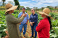 Agraer orienta agricultoresri a produzir mais e vender direto ao consumidor