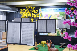 Hinos de MS que participaram do concurso em 78 estão em exposição