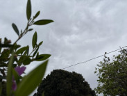 Céu com muitas nuvens e previsão de chuva isolada em Dourados; máxima de 27ºC