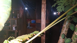 Homem é morto com facada no pescoço em Dourados