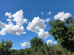 Sol predomina neste domingo em Mato Grosso do Sul