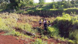 Homem é encontrado morto ao lado da motocicleta na BR-163 (Imagem: Reprodução)