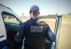 Polícia prende suspeito de furtos com mandado de prisão em aberto