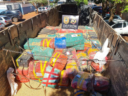 Polícia incinera mais de 26 toneladas em Dourados hoje