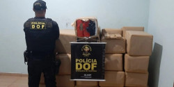 DOF fecha entreposto de drogas em Ponta Porã e apreende quase 1 tonelada