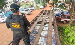 DOF apreende 11 toneladas de agrotóxicos avaliadas em R$ 21,5 milhões