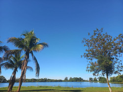 MS tem sábado de calor intenso e sem previsão de chuva em Dourados
