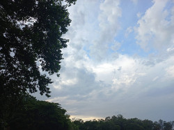 Semana começa com nuvens carregadas em Dourados, há previsão de chuva