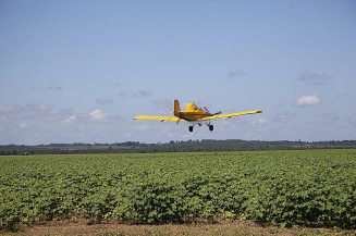 Avião pulveriza agrotóxico em lavoura de Mato Grosso do Sul (Divulgação)