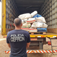 Defron incinera mais de 7 toneladas de drogas hoje em Dourados