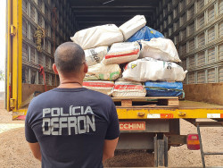 Defron incinera mais de 7 toneladas de drogas hoje em Dourados