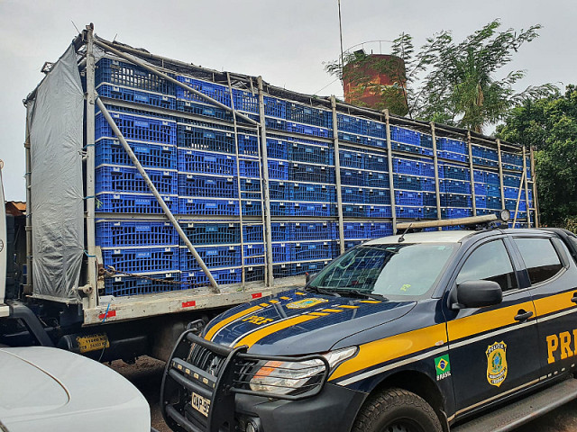 A ação contou com o apoio da aeronave Órion 2 (Imagem: Divulgação)