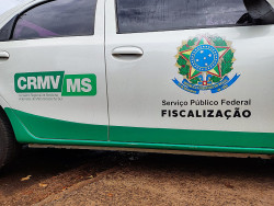 Conselho Regional investiga outros profissionais que atuam de forma irregular (Imagem: Adilson Domingos)