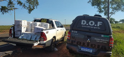 DOF apreende caminhonete com R$ 210 mil em agrotóxico