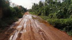 Frigorífico de MS é multado em R$ 50 mil por despejar dejetos em estrada