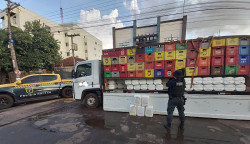 Caminhão de bebidas levava 3 mil litros de agrotóxico contrabandeado