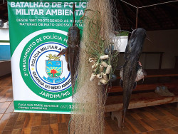 Polícia surpreende pescadores fazendo arrastão na abertura da pesca