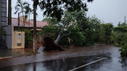 Temporal derruba árvores, alaga ruas e deixa parte de Dourados sem energia